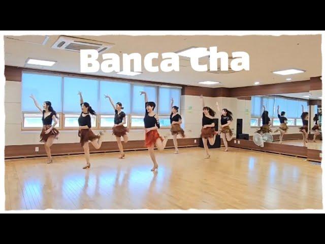 Banca Banca Cha /Beginner/방카차 라인댄스/초급라인댄스/#광양라인댄스