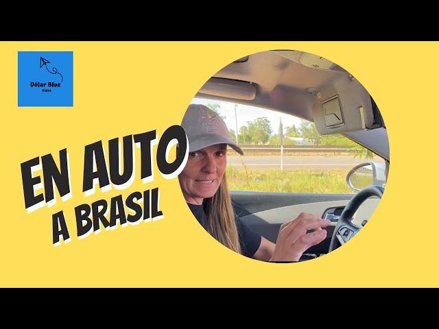 En auto a Brasil, ruta, peajes, viaje con mascotas.