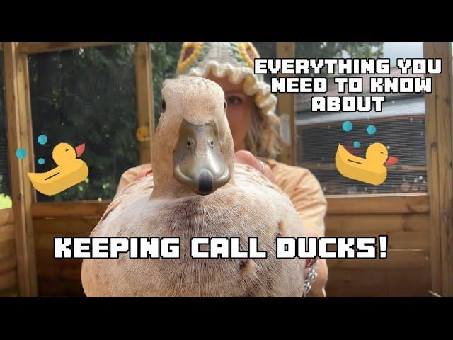 Everything you need to know about keeping call ducks! A full breed review and some helpful tips!