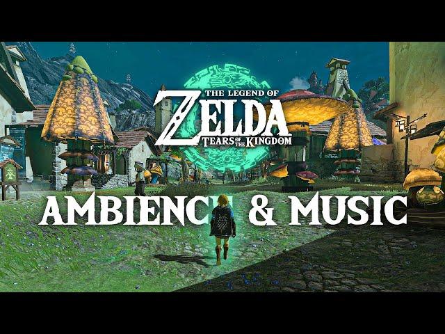 A Night in Hateno Village  Zelda TOTK Ambience & Optional Music