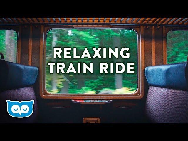 Train Ride Ambience:  ambient white noise for sleeping, focus, studying, reading