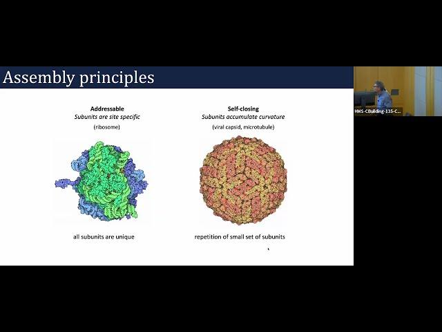 From DNA Origami to Protein Design: Symmetry-Guided Principles Across Scales