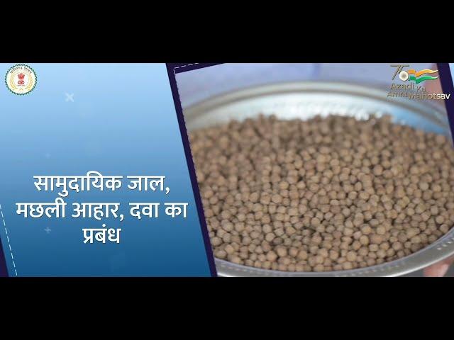 Cluster Based Fish Farming Bade Kapshi | Blue Revolution | Fisheries Subsidy Schemes & Fish Farming