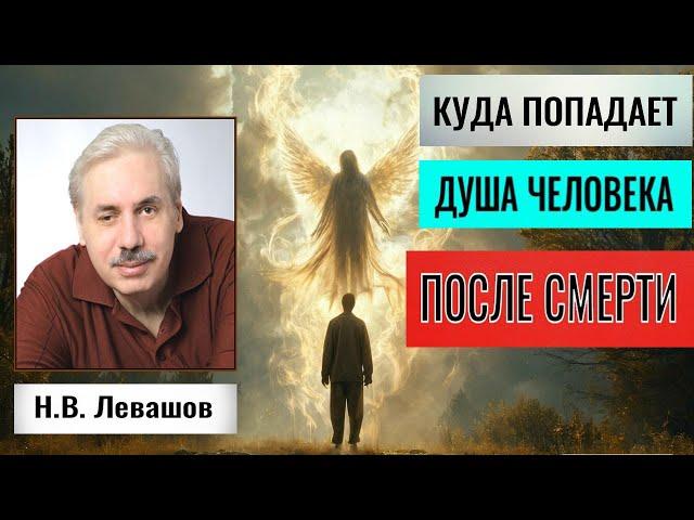 КУДА ПОПАДАЕТ ДУША ЧЕЛОВЕКА ПОСЛЕ СМЕРТИ. Николай Левашов #познавательное #послесмерти#загробныймир