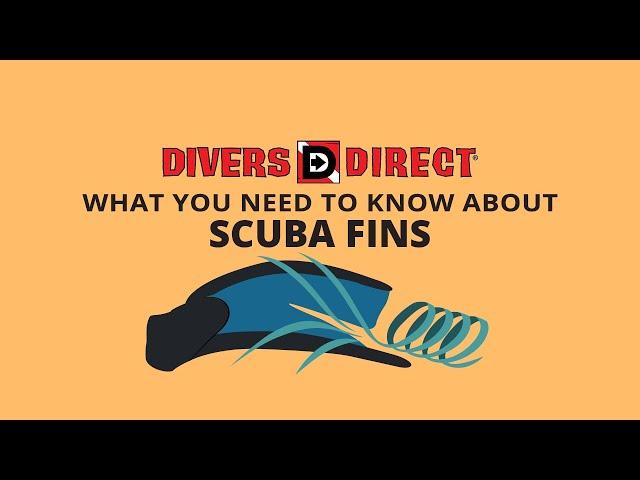 Divers Direct | Everything You Need to Know About Scuba Fins