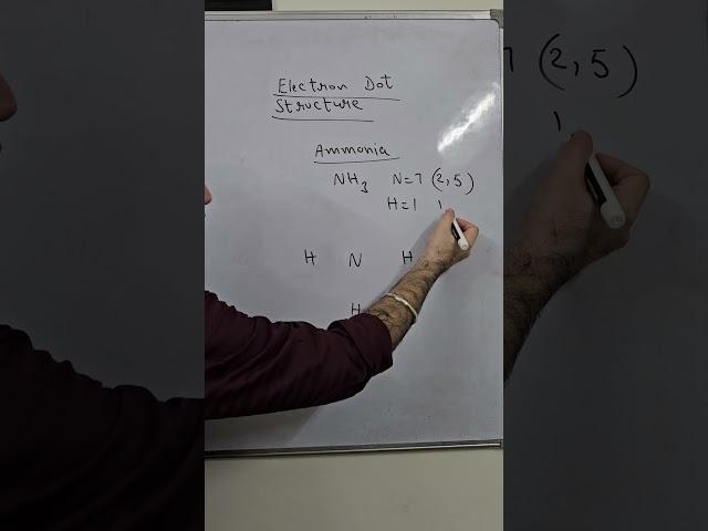 Electron dot structure of Ammonia  Class 10 Science