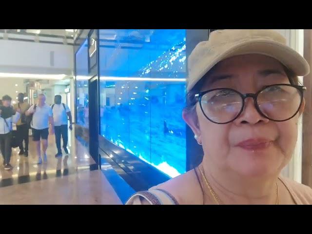 Dubai Vlog . 4k Walking Tour Mall of the Emirates. #mall #travel. #shoppingvlog  #shopping