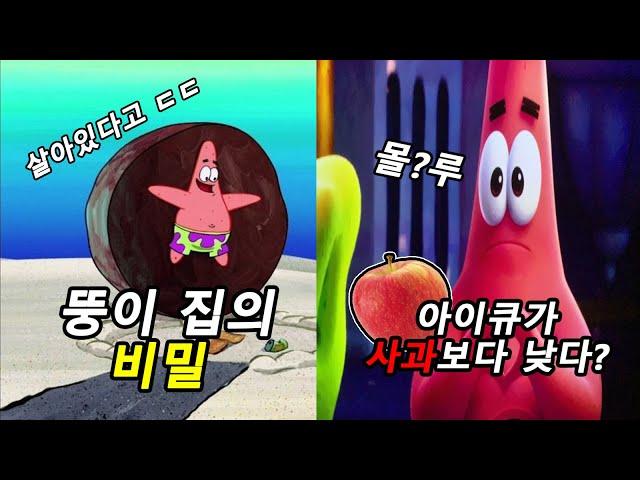 [스폰지밥] 뚱이에 관한 7가지 TMI