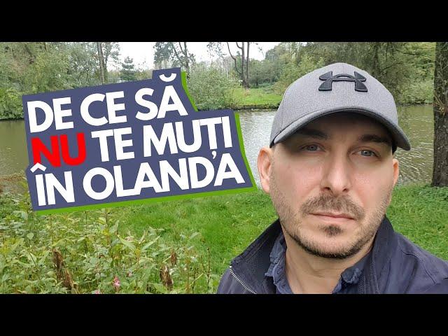 3 MOTIVE pentru care sa NU te muti in Olanda | Valabil si in 2023?