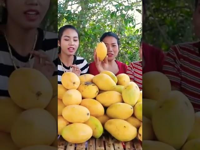 পৃথিবীর সবচেয়ে দামি আম । expensive mango