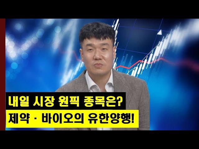 내일 시장 원픽 섹터와 종목은?  제약·바이오의 유한양행!│주가,특징주