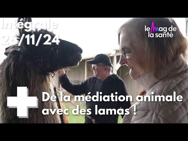 Le Mag de la santé - 26 novembre 2024 [Intégrale]