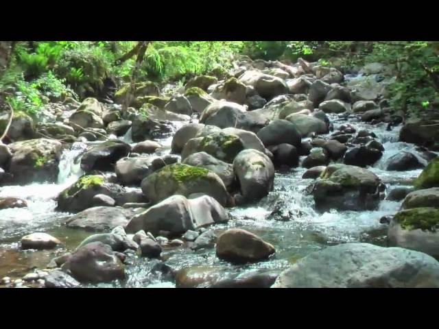 Water Sounds Relaxing