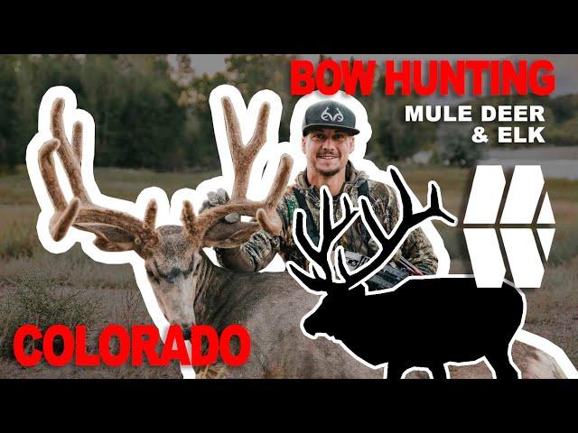 | HUGE VELVET MULE DEER & ELK | "Ignition" | My World Outdoors | Season 2