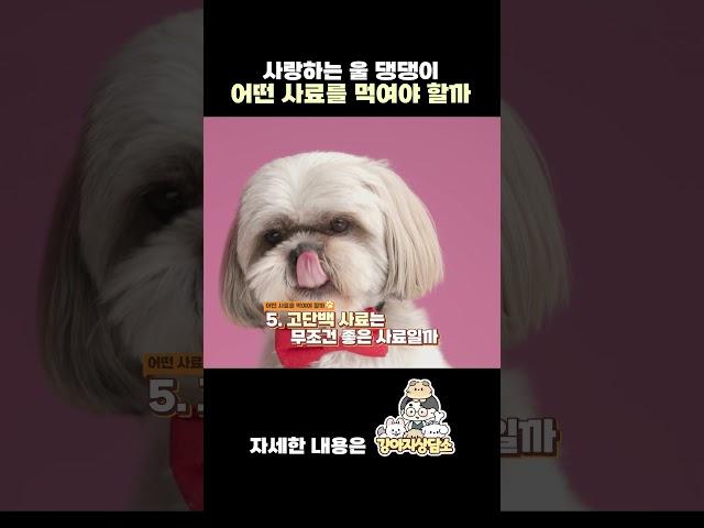 강아지에게 어떤 사료가 좋은 사료 일까?