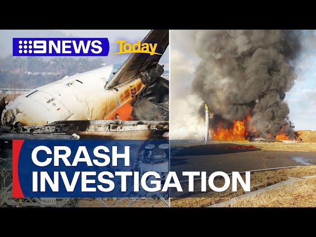 Aviation expert weighs in on deadly South Korea plane crash | 9 News Australia