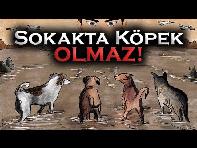 Sokakta Köpek Olmaz!