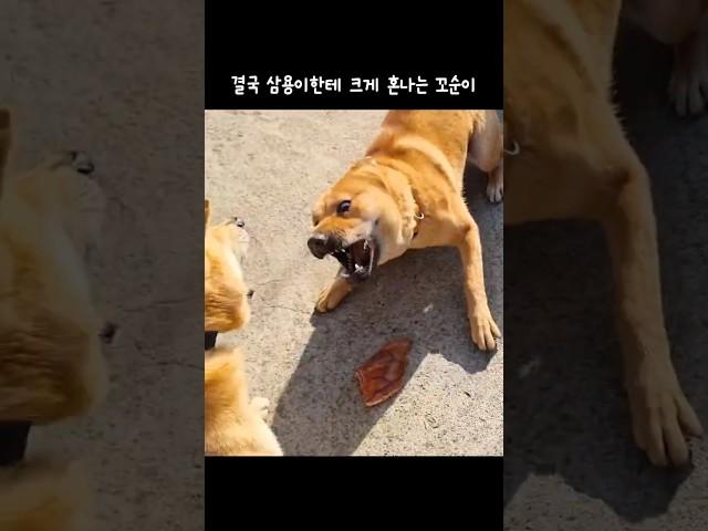 한판 붙었습니다