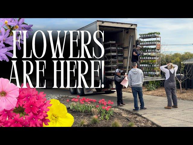 HUGE PROVEN WINNERS ANNUAL FLOWER DELIVERY! 