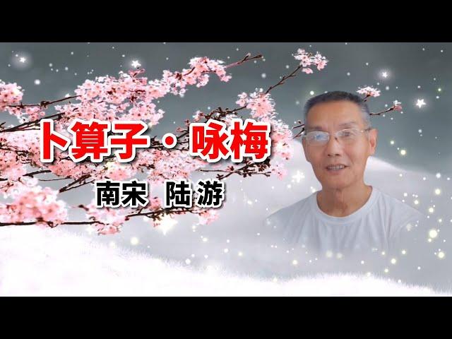 經典詩詞朗誦｜《詠梅》作者：陸游