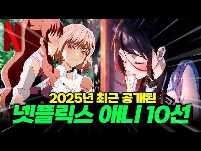 2025년 공개된 넷플릭스 신작 애니 정리, 리스트가 좀 수상하다?【애니리뷰】