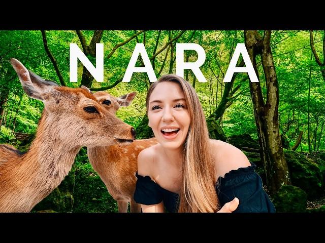 24 Hours in NARA Japan  What to see, do & eat!