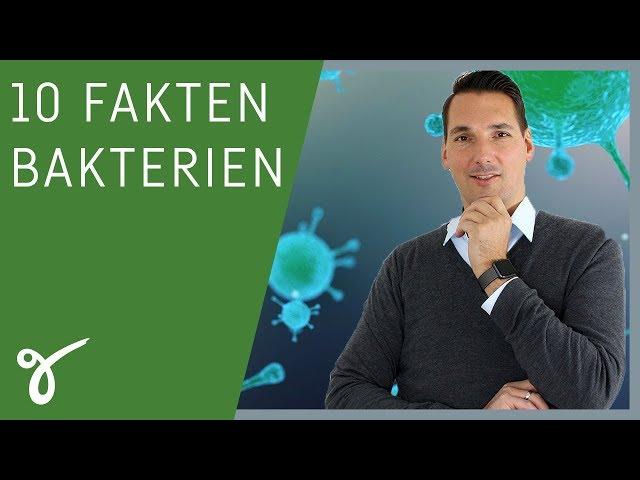 10 Fakten über Bakterien, die jeder kennen sollte! | Gerne Gesund