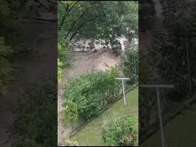 Bécsben a víz mindent visz