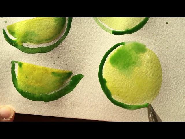 Quick and Easy Watercolour : Lime Slices Tutorial with Ohn Mar Win