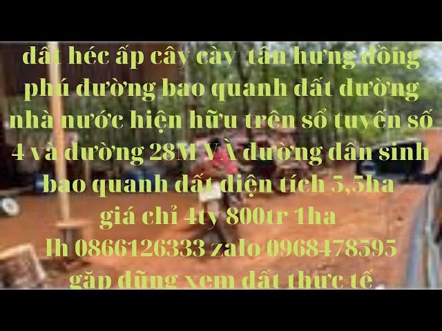 đất héc ấp cây cày tân hưng đồng phú bình phước đường ĐT 753 đi vào 7kmI anh dũng đất nền bình phước