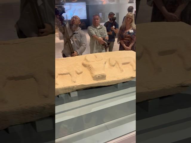 World of the Terracotta Warriors #考古 #兵马俑 #travel #terracotta #XiAn #西安 #news