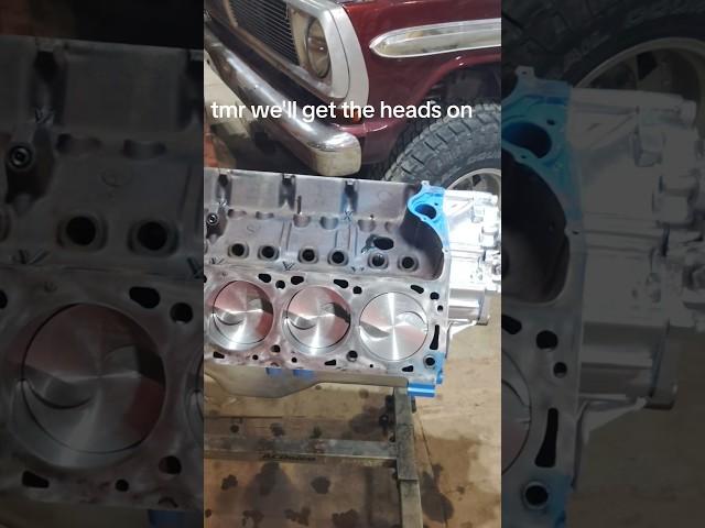 tmr the heads go on.