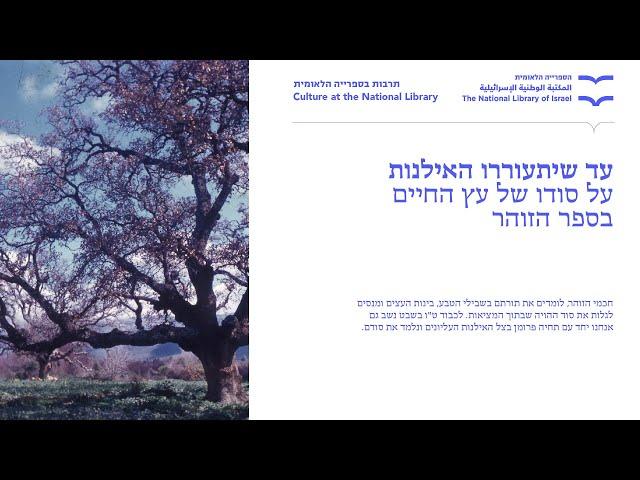 עד שיתעוררו האילנותעל סודו של עץ החיים בספר הזוהר, תחיה פרומן