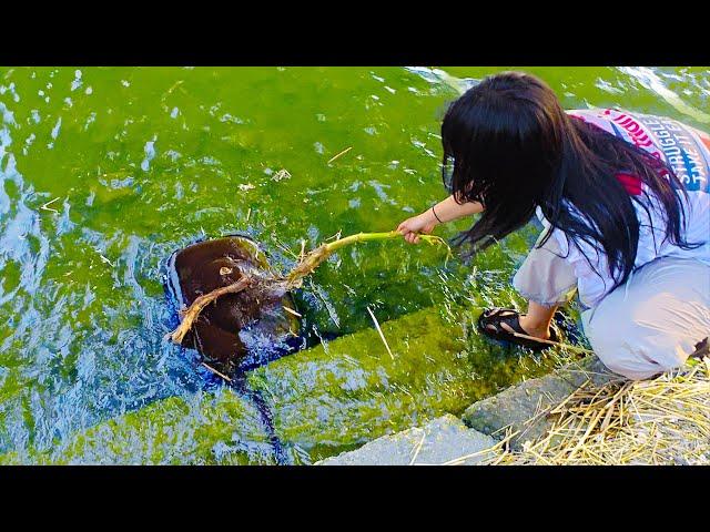 Went Fishing for Practice… and Ended Up Finding a Mysterious Object [Reel Sister‍️]