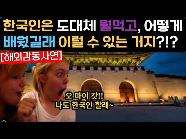 [해외감동사연]한국의 모든것에 감동해 한국인이 되고싶다는 외국인.. #해외감동사연 #감동 #해외반응