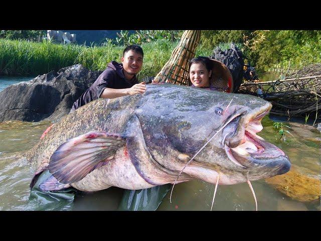 How to trap giant catfish in the rainy season on the river