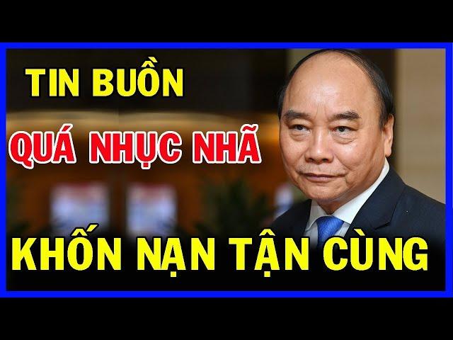 Tin tức Việt Nam mới nhất ngày 20/12/2024/ Tin Nóng Chính Trị Việt Nam và Thế Giới #24hTinTuc