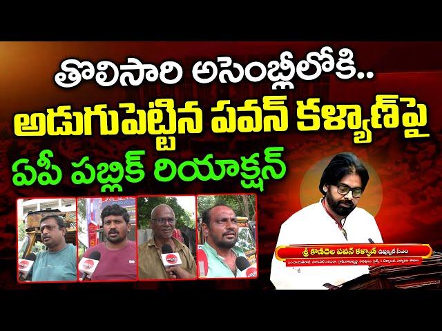 Public Reaction After Pawan Kalyan Oath In Assembly : Jana Sainyam