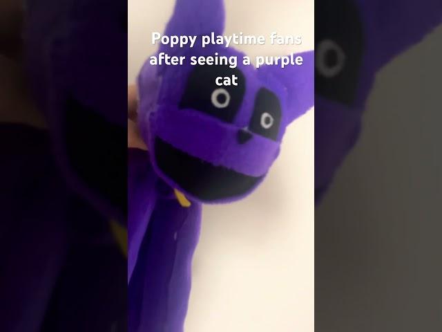 #poppyplaytimechapter3 #catnap #plush #funny