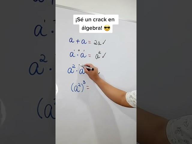 ¡SE UN CRACK EN ÁLGEBRA! 