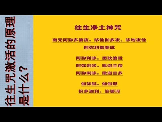 念过量的往生咒激活业障是个什么原理？       心灵法门