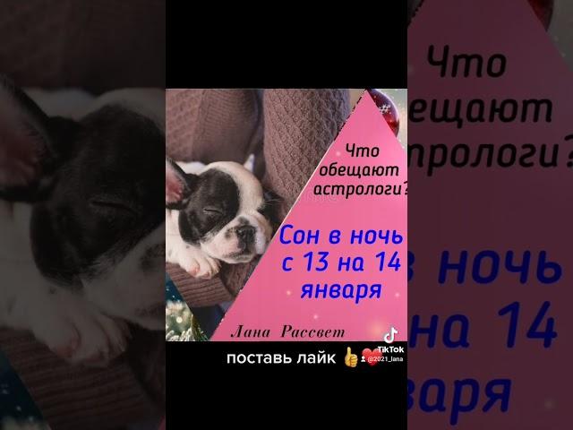 Сон в ночь с 13 на 14 января