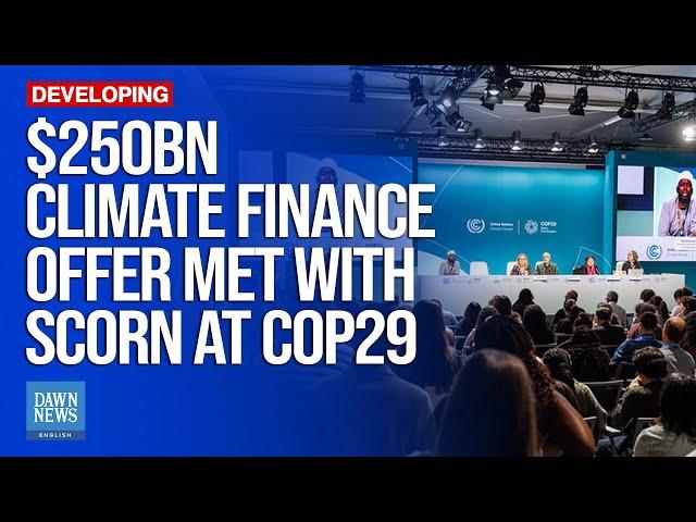 Climate Finance Offer Met with Scorn at COP29 | Dawn News English