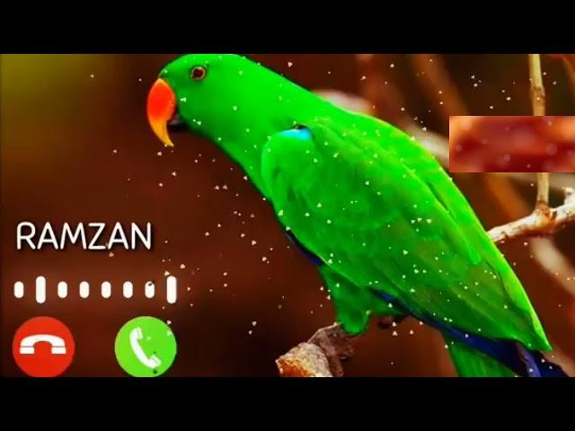 ramzan ringtone | islamic ringtone 2021 | naat sharif ringtone |Ramadan ringtones