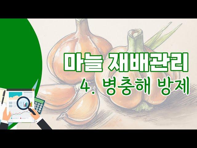 [영농기술] 마늘 재배관리 4. 병충해 방제