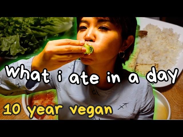 What I REALLY eat in a day as a Korean vegan of 10+ years! (Realistic vegan meals)