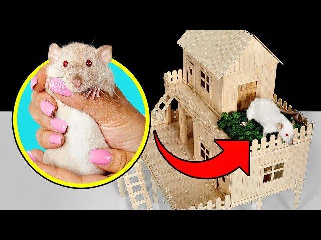 How to Make Popsicle Stick House for Rat