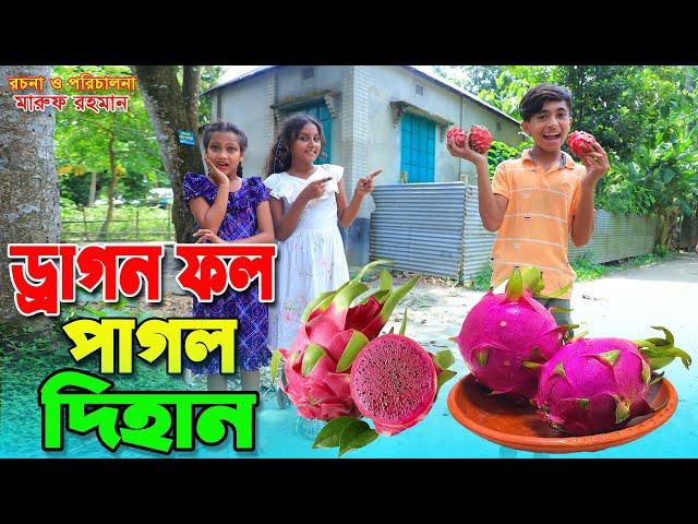 ড্রাগন ফল পাগল দিহান | Dragon fol pagol dihan | Fairy Angel Story In Bengali | bangla natok |