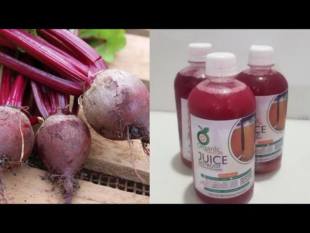 HOW TO MAKE THE BEST BEETROOT JUICE FOR SALE | PRESERVATION | HEALTH BENEFIT | JUICE MAKING BUSINESS