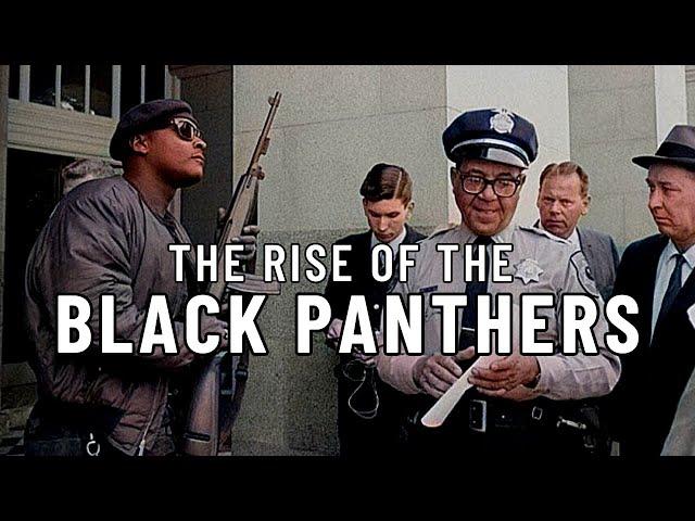 The Black Panthers SCARED the Police - Prt. 1 #onemichistory